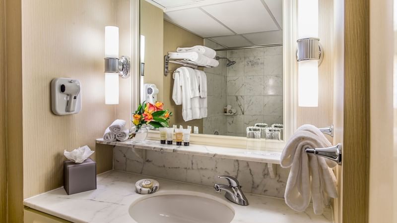 Bathroom Vanity area in Deluxe Room at Warwick Seattle