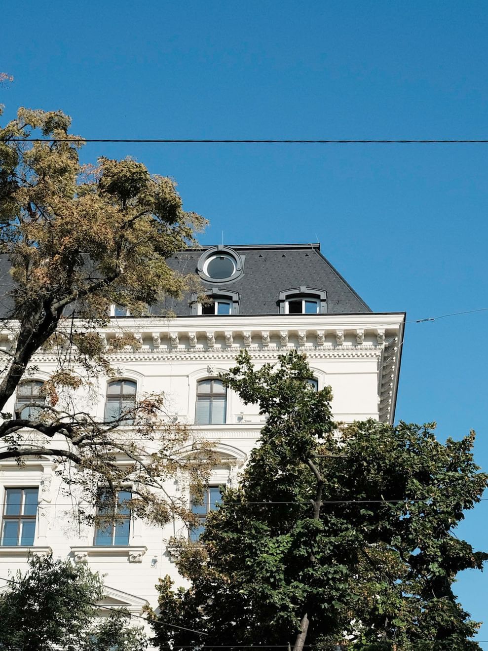 Exterior view of Almanac Palais Vienna among green trees in a sunny day