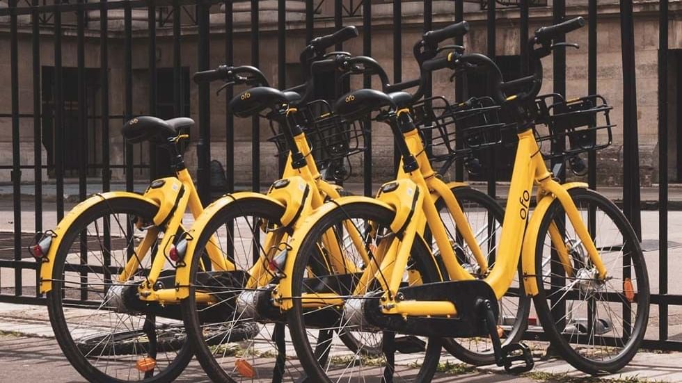 Yellow bicycles in Guided Bike Tours near Falkensteiner Hotel Bratislava