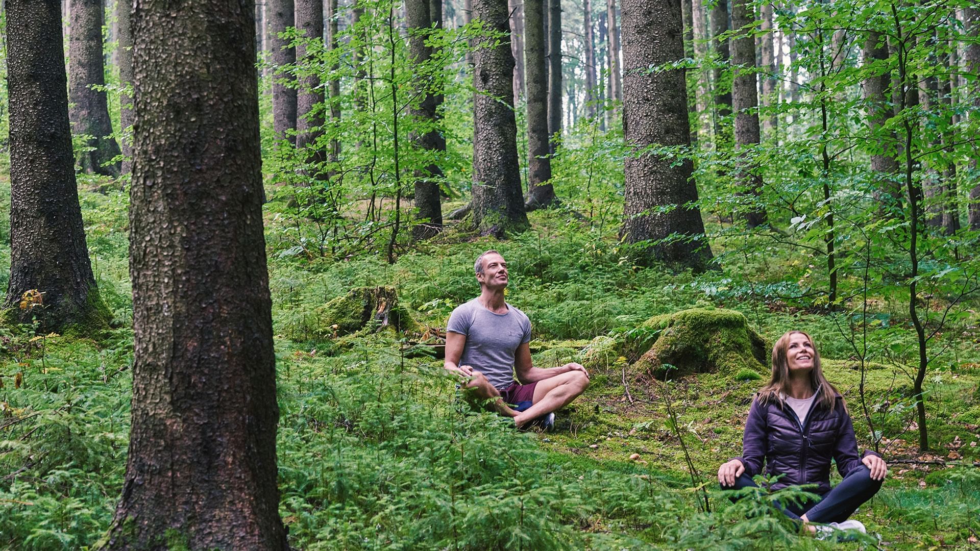 Yoga in the Forest Near Falkensteiner Spa Resort Mariánské Lázně