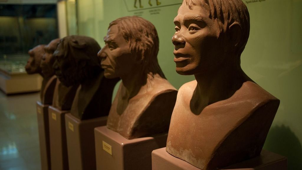 Close-up of statues of evolution in History Museum near Sunway Hotel Hanoi