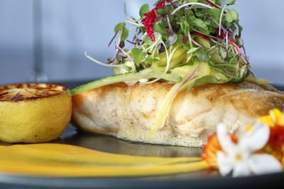 Close-up of a salmon dish served at Trianon Bonita Bay