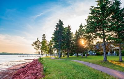 Paved path by a rocky shore under tall pine trees near Rodd Brudenell River Resort, one of the Best places to stay in PEI