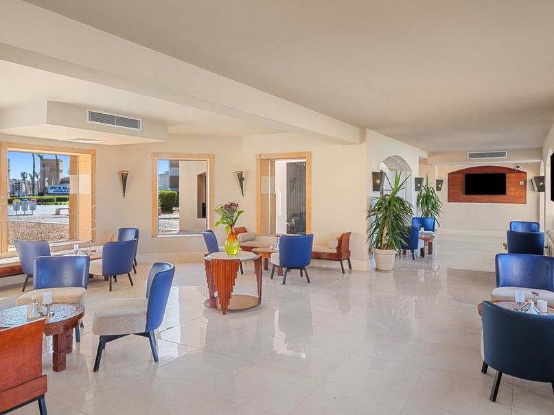 A modern lounge area with blue chairs, tables, a vase with flowers, and a large potted plant, featuring a tiled floor.