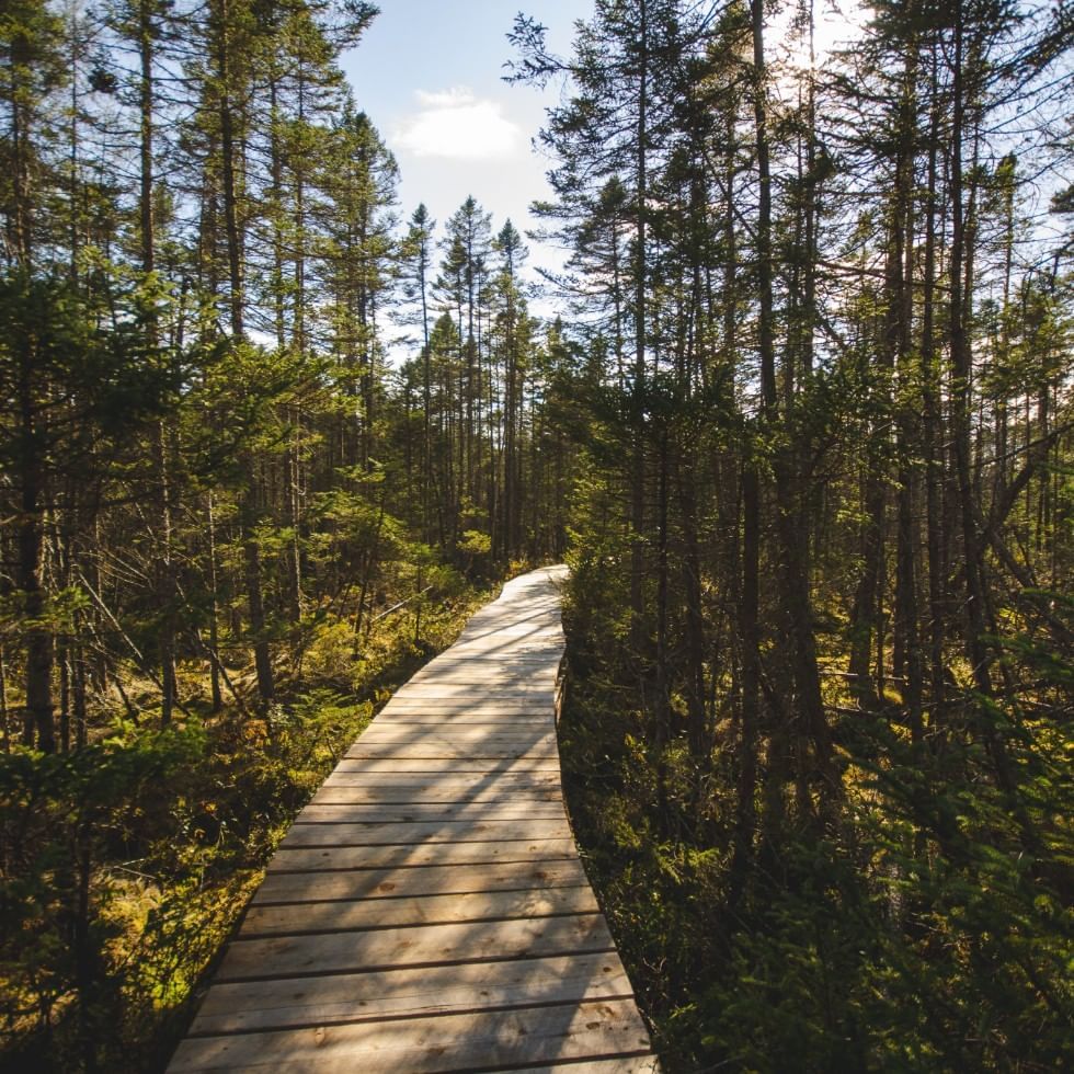 Border experience trail in
Bildein near Falkensteiner Hotels