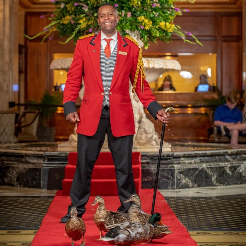 Caretaker of Peabody Ducks at Peabody Hotels & Resorts in 2021