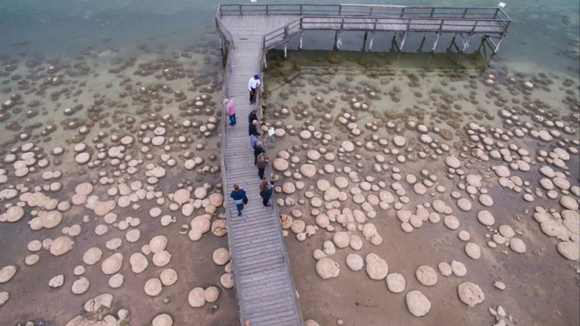 Aerial view of people walking on a wooden pier over a lake by Mandjoogoordap Dreaming Tours near The Sebel Mandurah