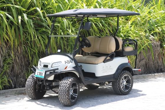 Golf cart with canopy parked on the road at Alaia Belize Autograph Collection