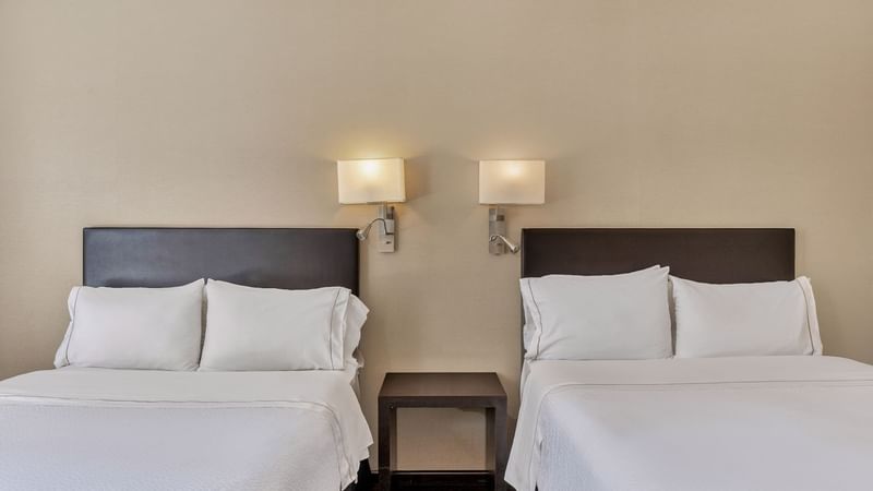 Fi Centro Historico 2024 (27)