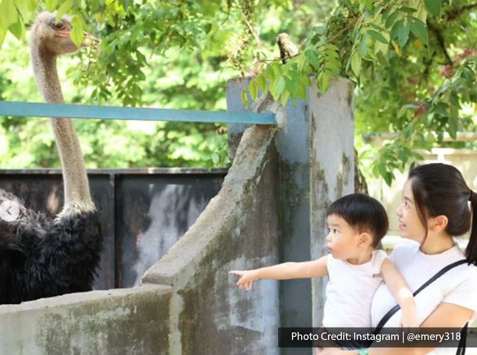 a mother and her child looking at an ostrich