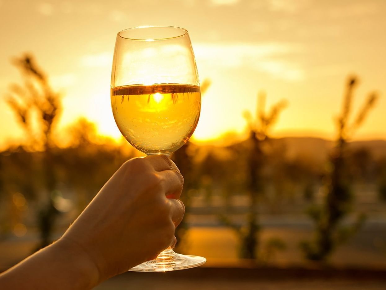 Glass of white wine and sunset