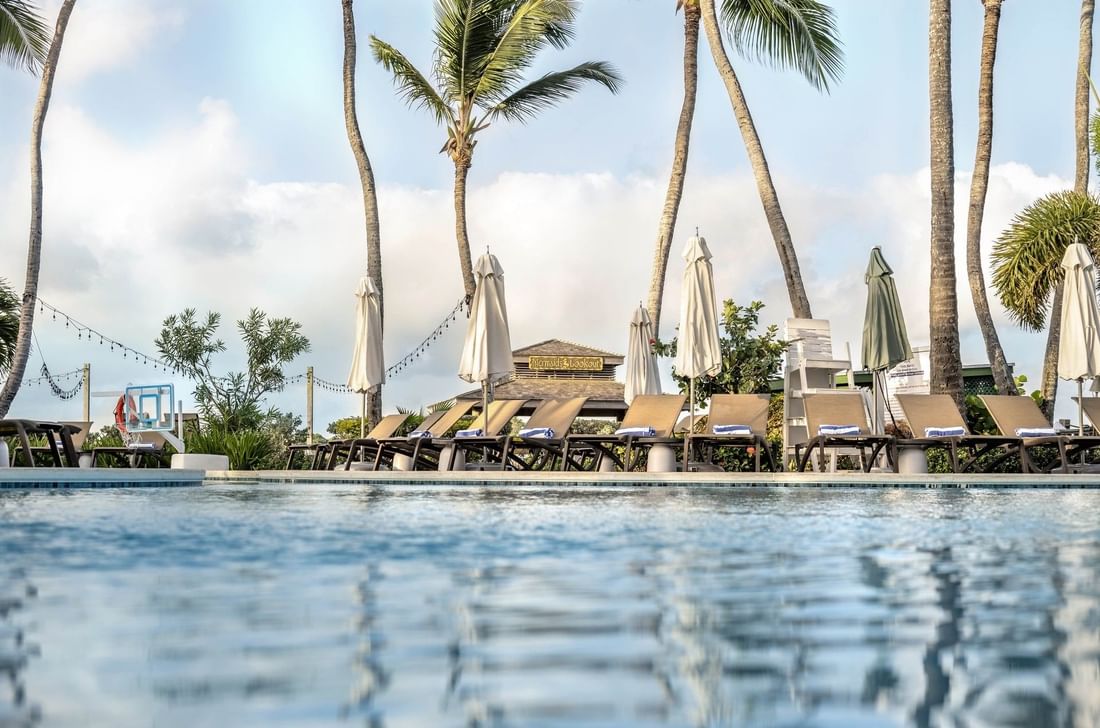 White umbrellas by lounge chairs under tall palm trees surrounding a serene pool at Warwick Paradise Island Bahamas