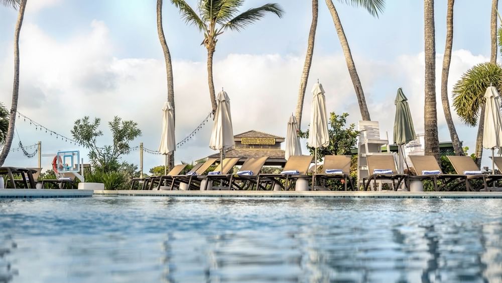 White umbrellas by lounge chairs under tall palm trees surrounding a serene pool at Warwick Paradise Island Bahamas