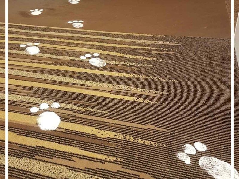 Diy Easter Fun for the Kids at Pullman and Mercure King George Square Brisbane