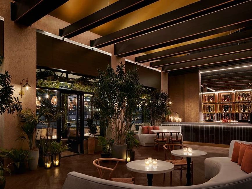 Rooftop lounge at night