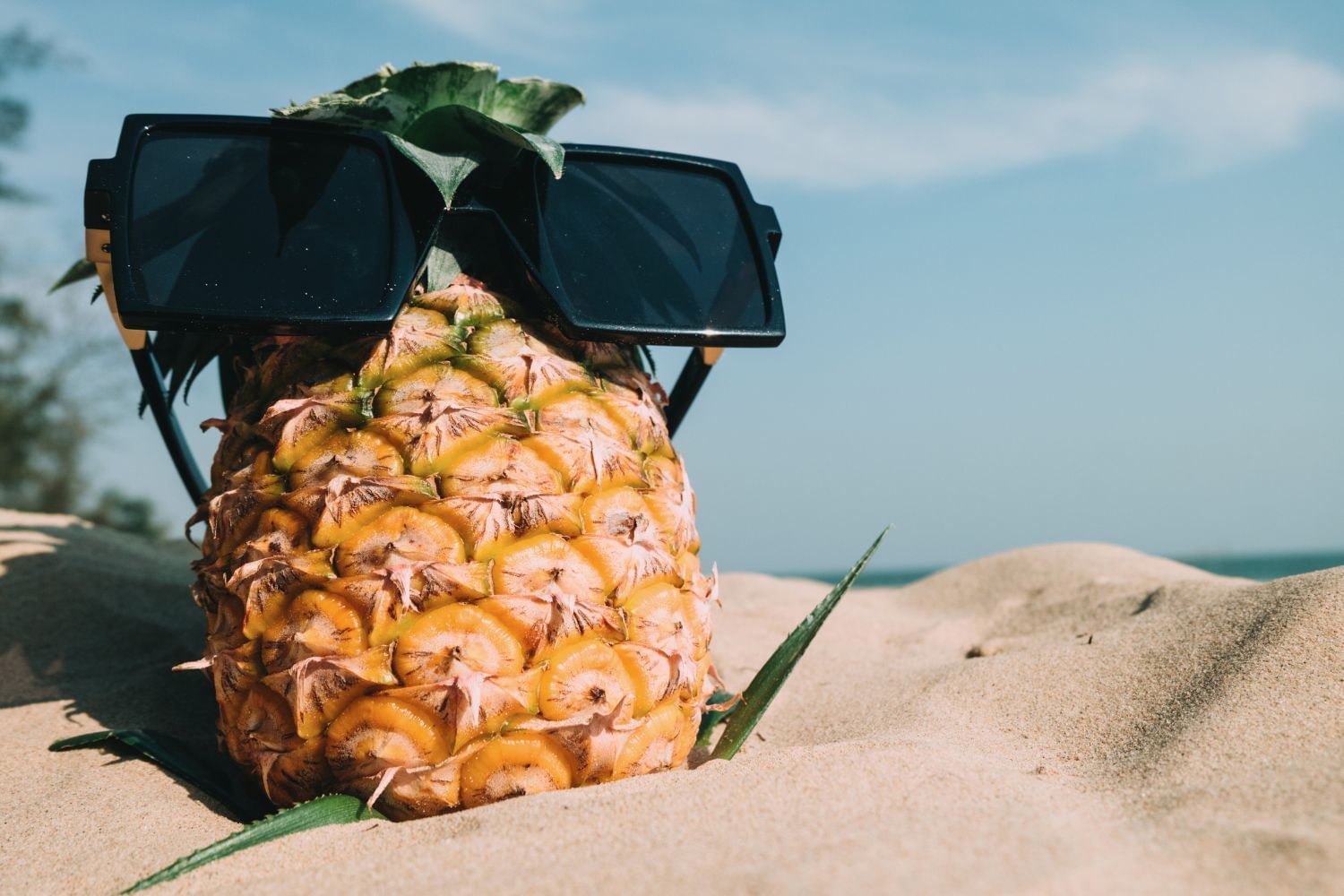 pineapple-in-the-sand.jpg