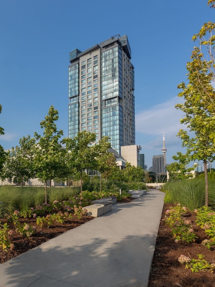 Exterior view of Hotel X Toronto rising by a stone path, surrounded by trees and flowering shrubs near the CN Tower