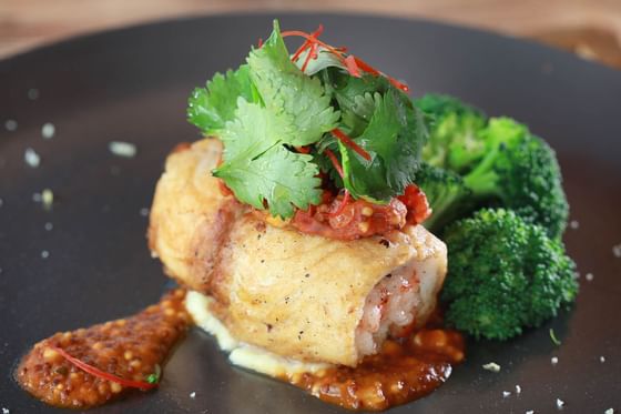 Plated fish with sauce, broccoli, and cilantro at Peppers Seminyak