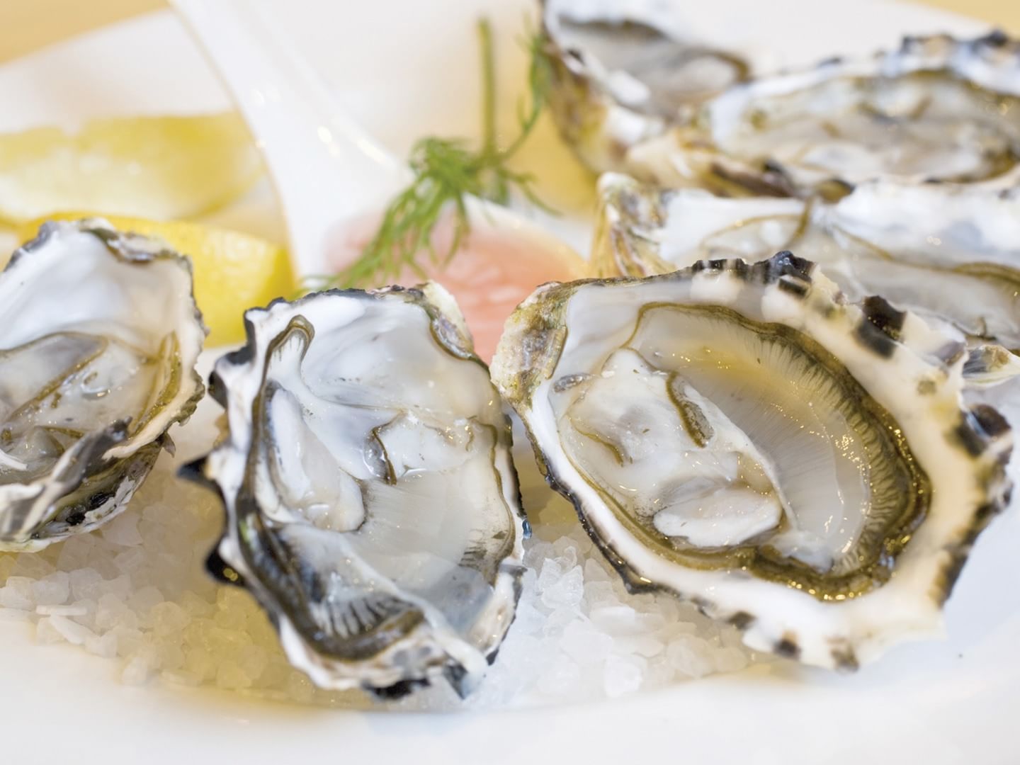 Close-up of Oyster dish served in Richardson’s Bistro at Freycinet Lodge