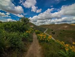 A walking trail with trees & flowers near Hotel 43