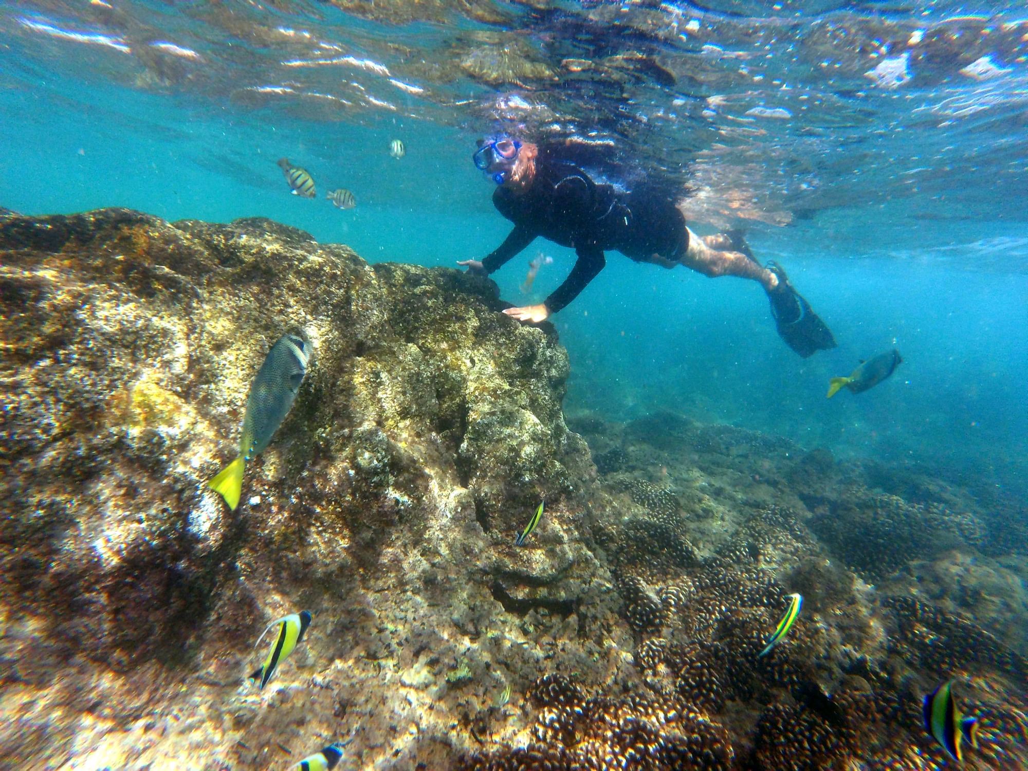 Scuba diver diving in the ocean near Los Cabos, La Colección