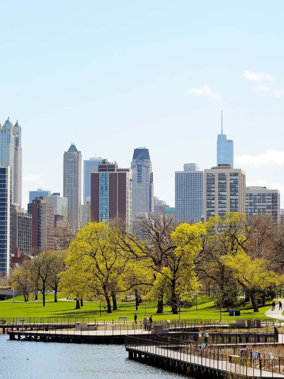 paysage urbain de Chicago
