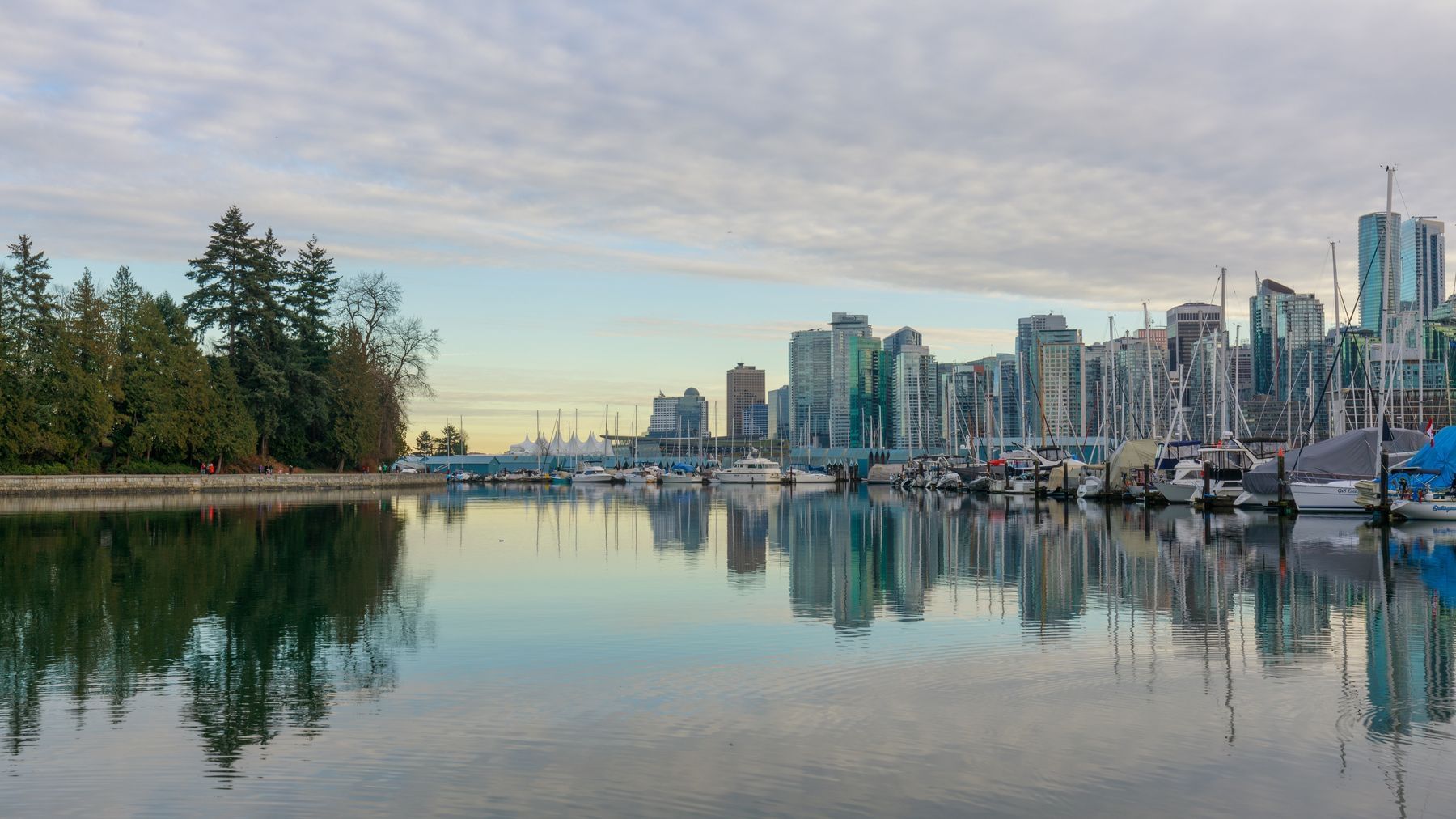 Habour with city skyline in background