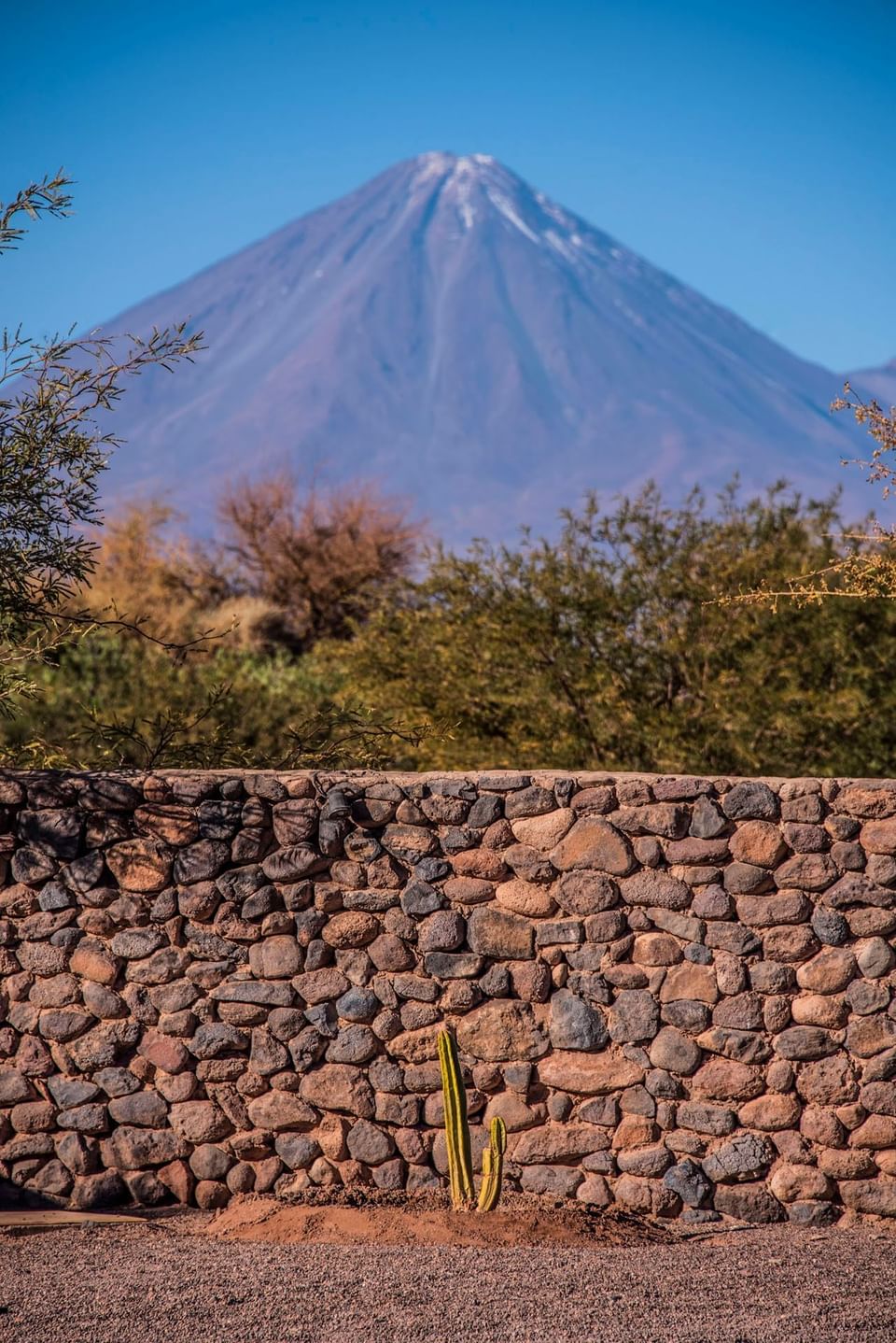 Excursions from Hotel Cumbres San Pedro de Atacama in Chile