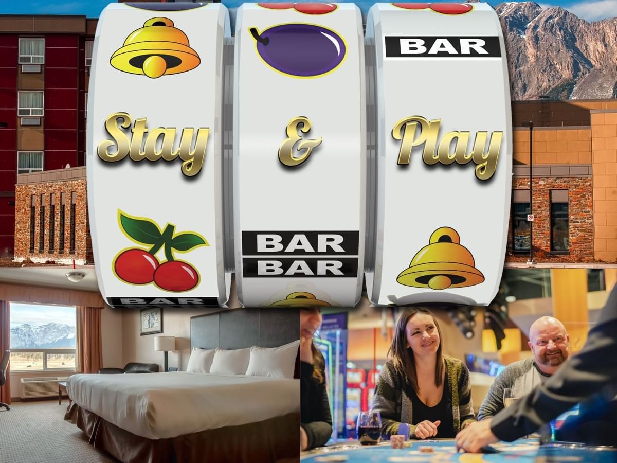 Stay & Play