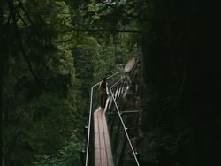A girl at Capilano Suspension Bridge near Paradox Hotel