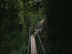 A girl at Capilano Suspension Bridge near Paradox Hotel 