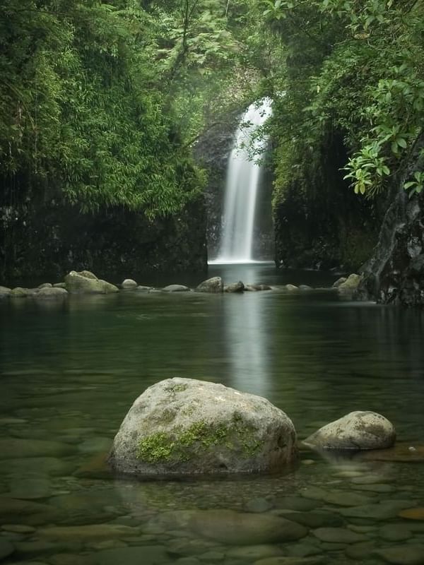 Biausevu Village with waterfall by mossy rocks under a dense green forest canopy near The Naviti Resort - Fiji