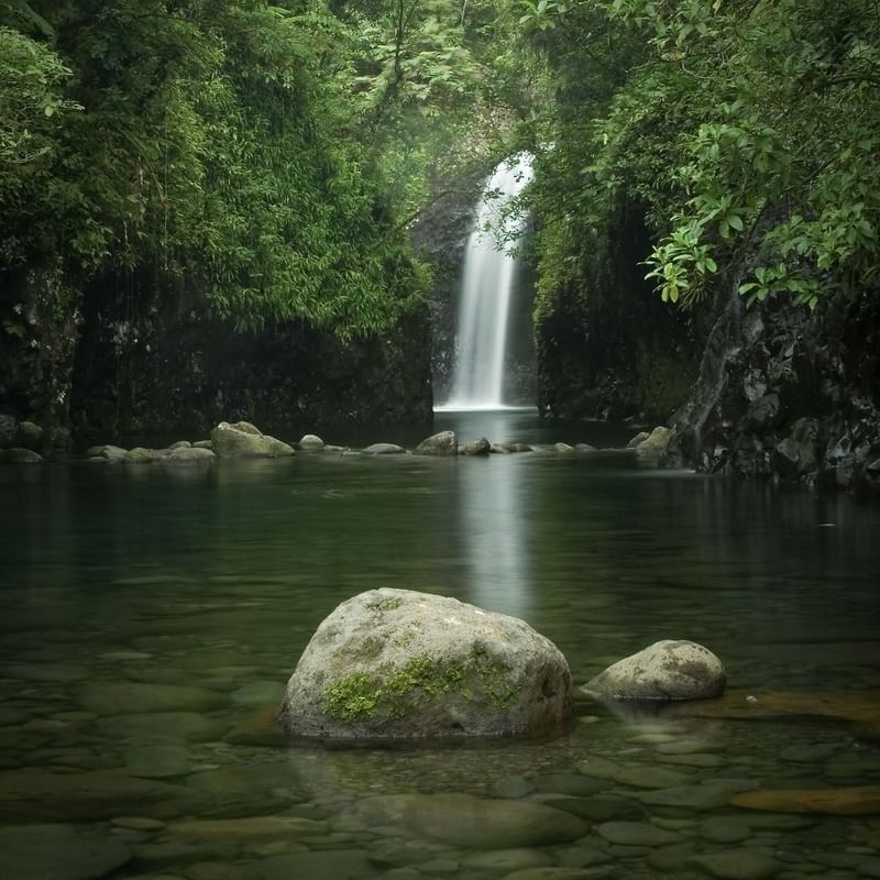Biausevu Village with waterfall by mossy rocks under a dense green forest canopy near The Naviti Resort - Fiji