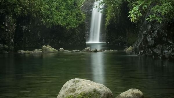 Biausevu Village with waterfall by mossy rocks under a dense green forest canopy near The Naviti Resort - Fiji
