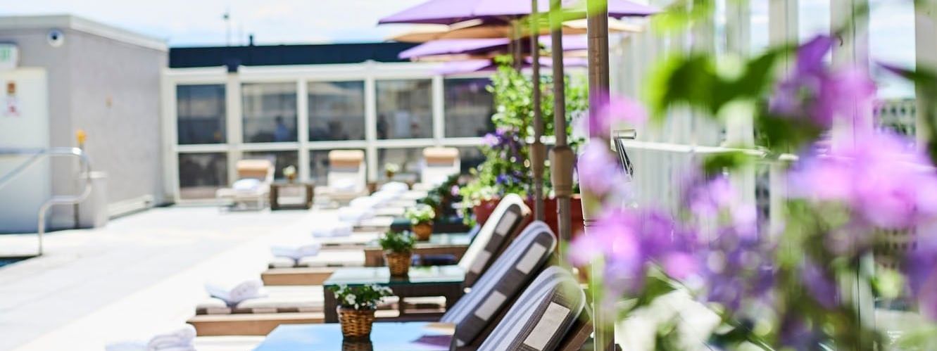 Lounge chairs by small tables under purple umbrellas near flowers at Warwick Denver