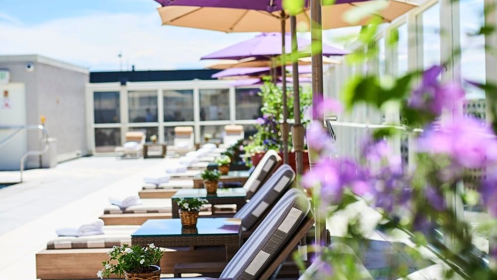 Lounge chairs by small tables under purple umbrellas near flowers at Warwick Denver