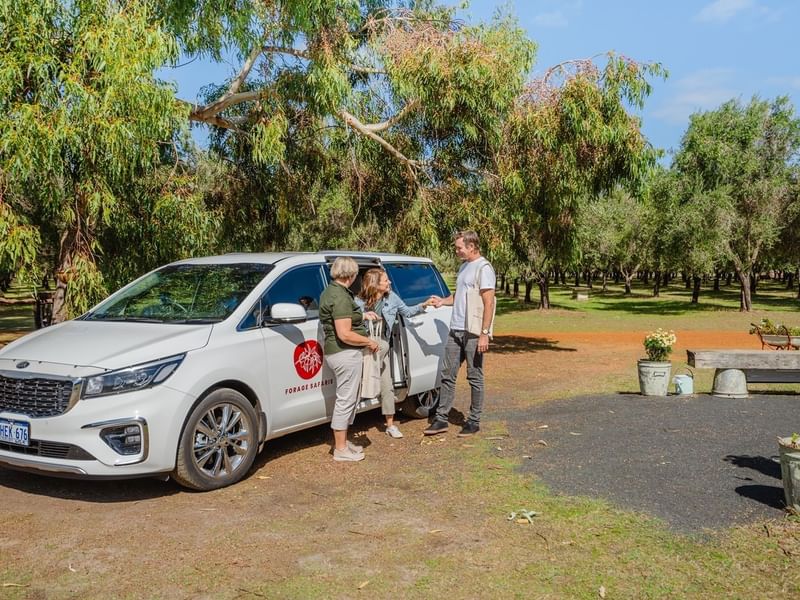Forage Safaris need Pullman Bunker Bay Resort