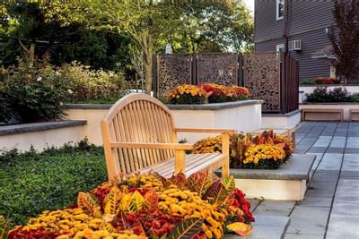 a wooden bench surrounded by colorful plants