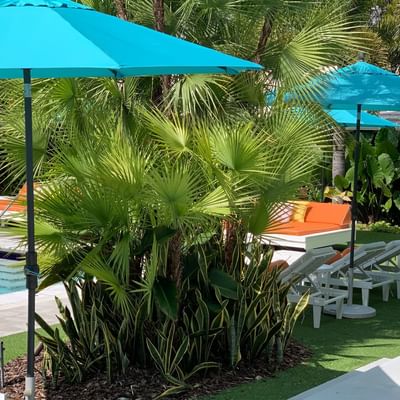 Image of a corner of the pool deck with open blue umbrellas and 