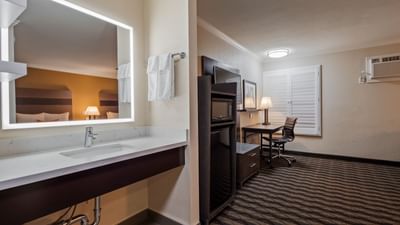 an open sink area in a hotel room