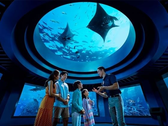 Family and guide view marine life in aquarium at Park Hotel Group
