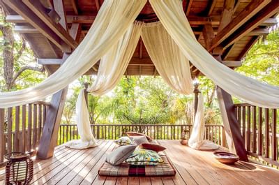 Treehouse at Spa Botanico