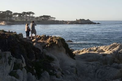 Monterey rocks overlook ocean