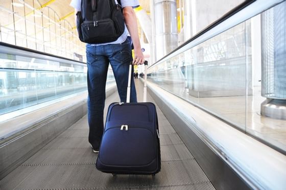 Close-up of carrying a luggage bag on an escalator at Miami Lakes Hotel