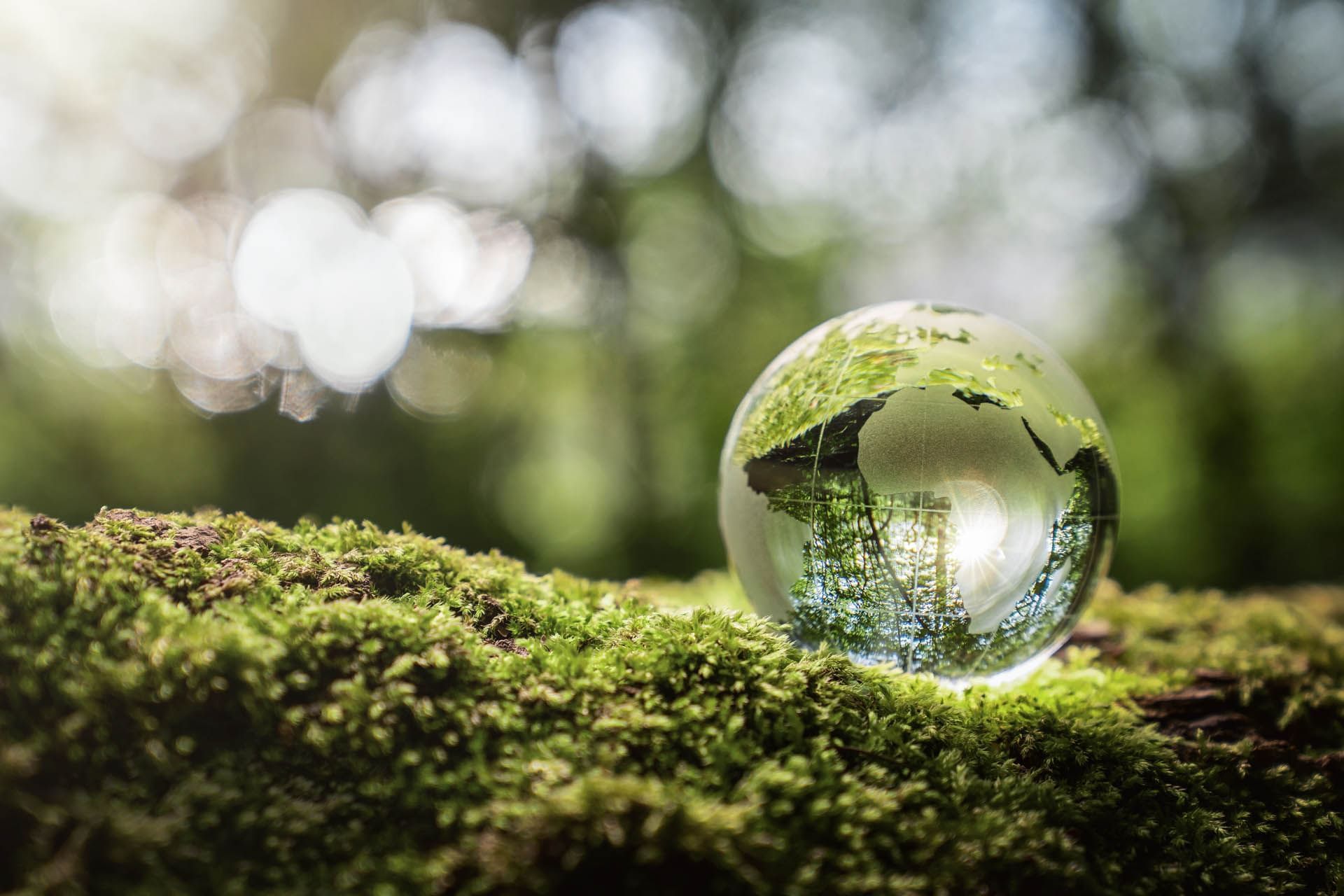 Glass globe on moss reflecting trees and sunlight at Avaneo Hotel, highlighting hotel sustainability