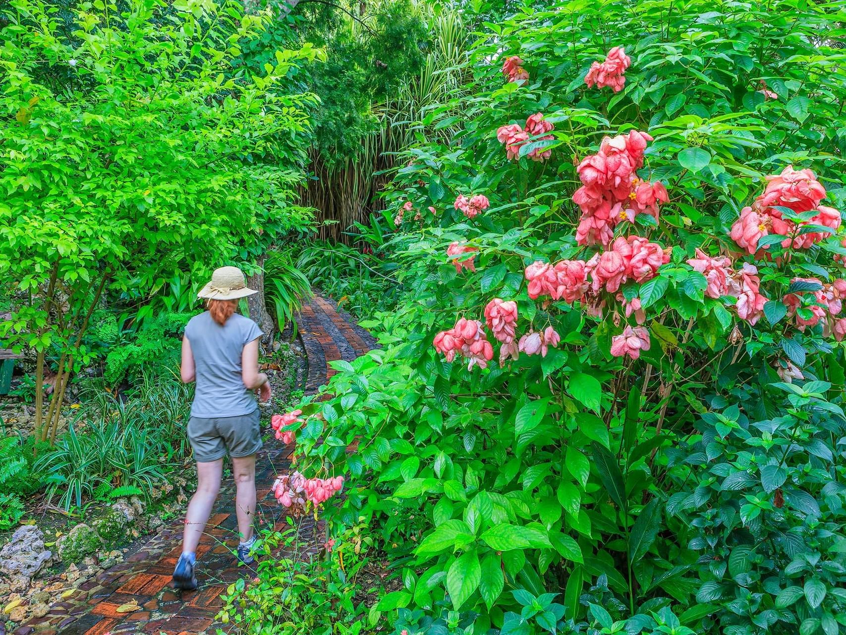 A footpath in the Andromeda Garden near Southern Palms Beach