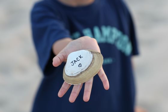 Beach Toys for Kids, The Roundtree, Amagansett, Hotel in Hampton