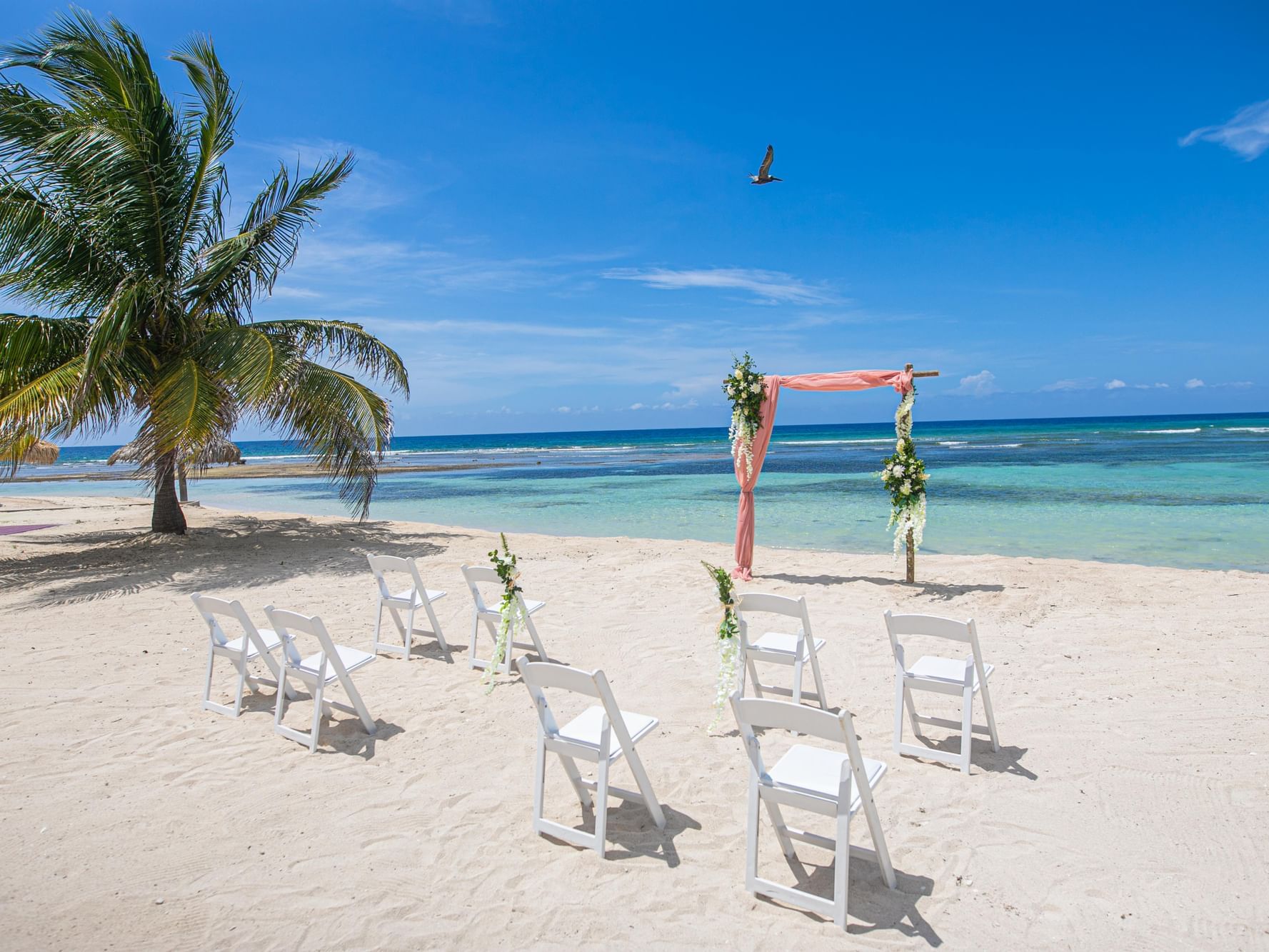 Palm tree by a wedding ceremony arranged in East beach on a sunny day at Holiday Inns Montego Bay