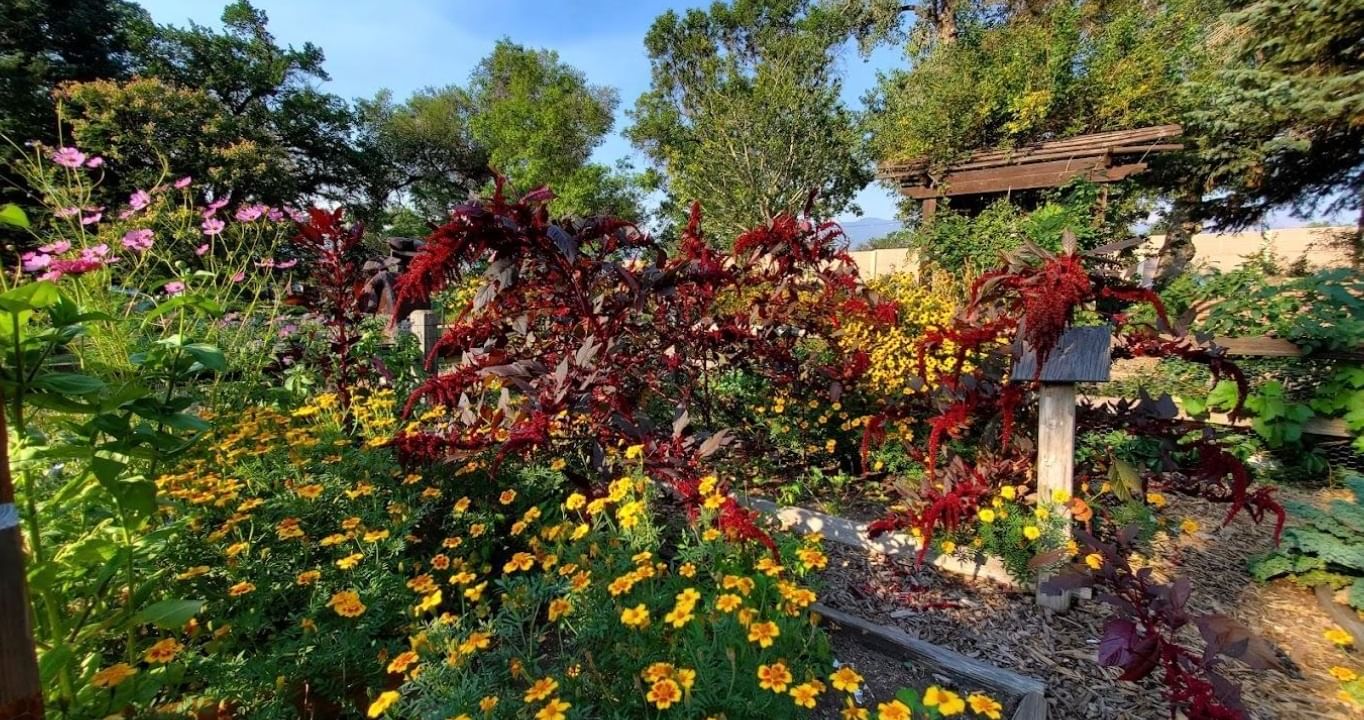 Flower garden of Horticultural Art Society Garden near Kinship Landing