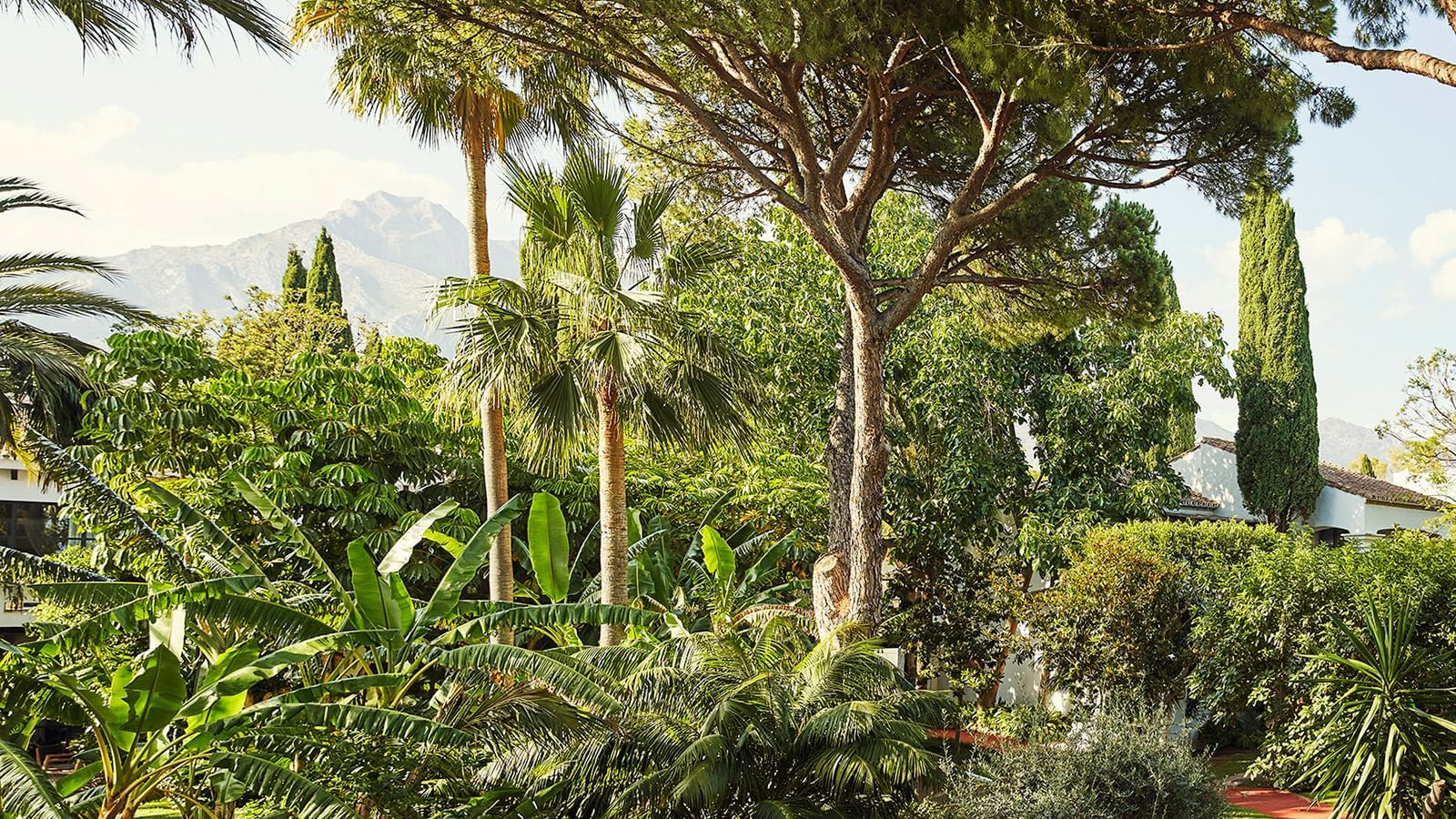 Lush tropical gardens with palm trees, pines, & mountain views in the distance from La Concha Suite at Marbella Club